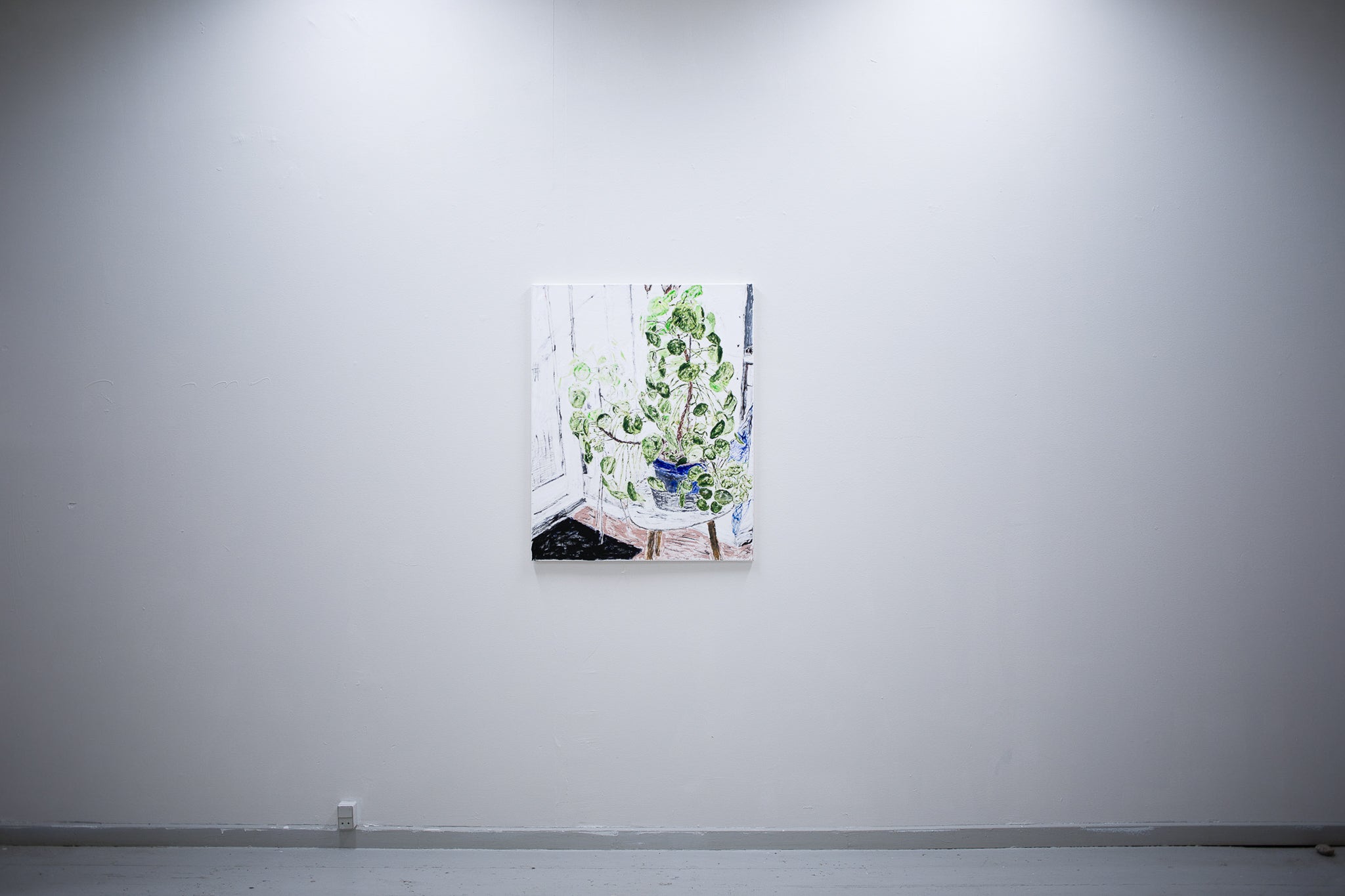 Plant for the studio