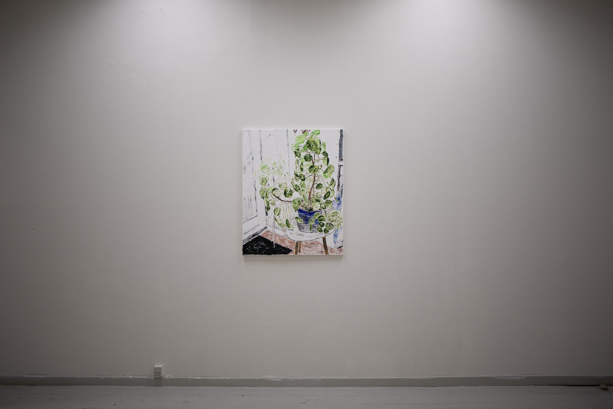 Plant for the studio