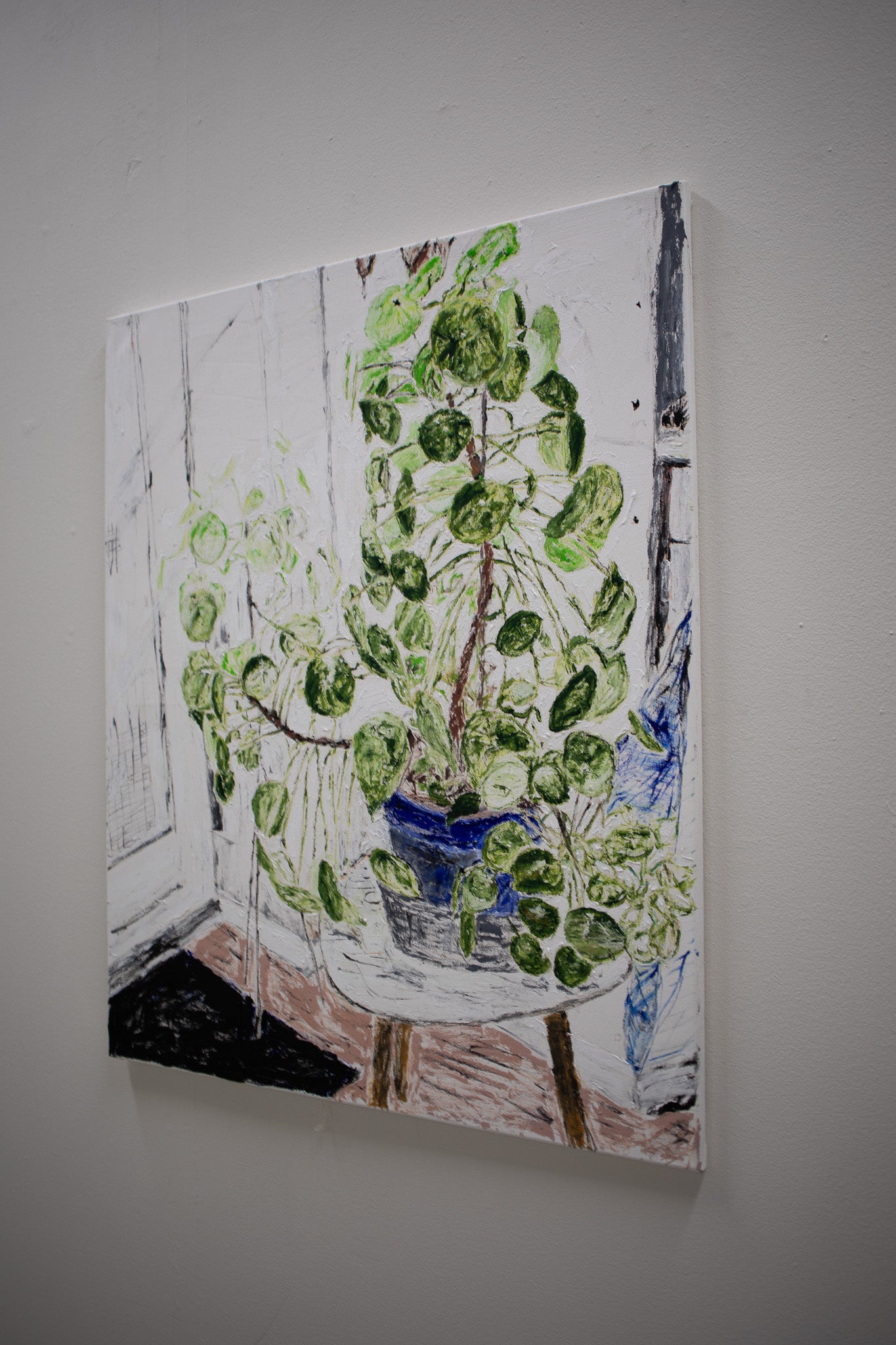 Plant for the studio