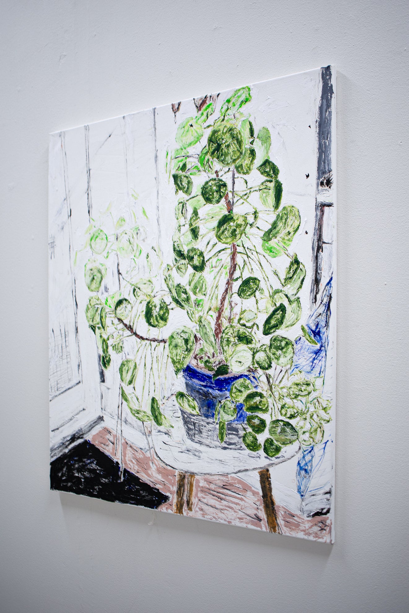 Plant for the studio