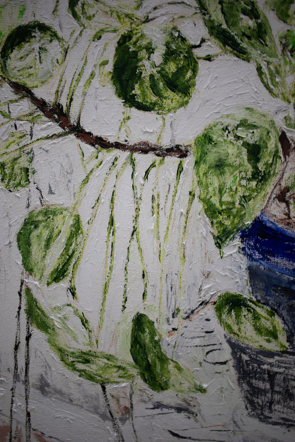 Plant for the studio