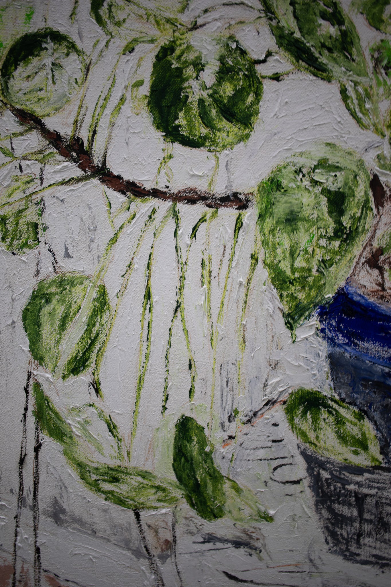 Plant for the studio