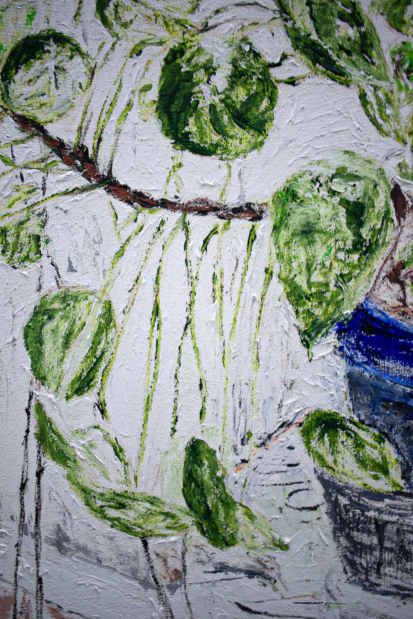 Plant for the studio